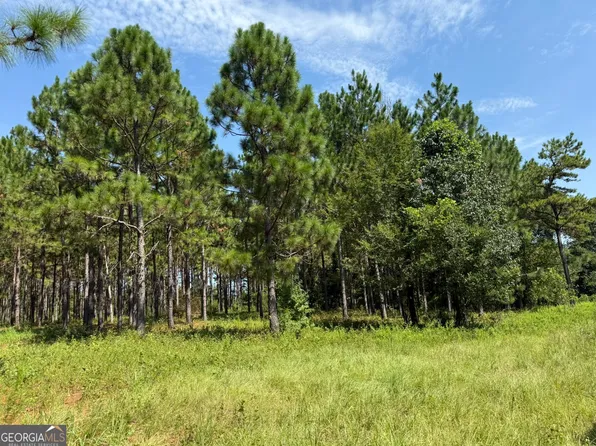 2 Barge Rd, Lumpkin, GA 31815