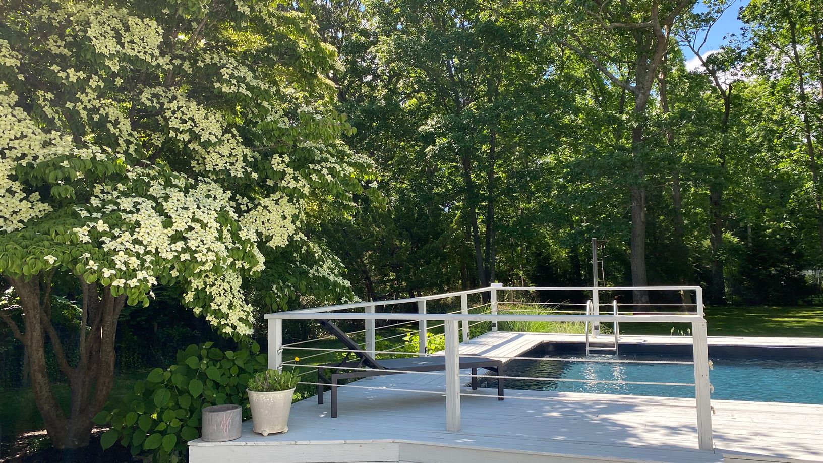 Deck/ Pool