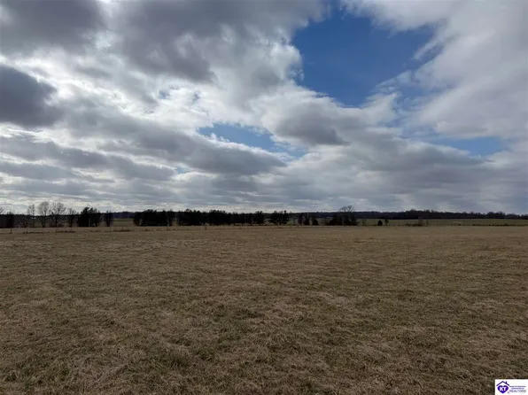 18 Berrytown Rd, Rineyville, KY 40162