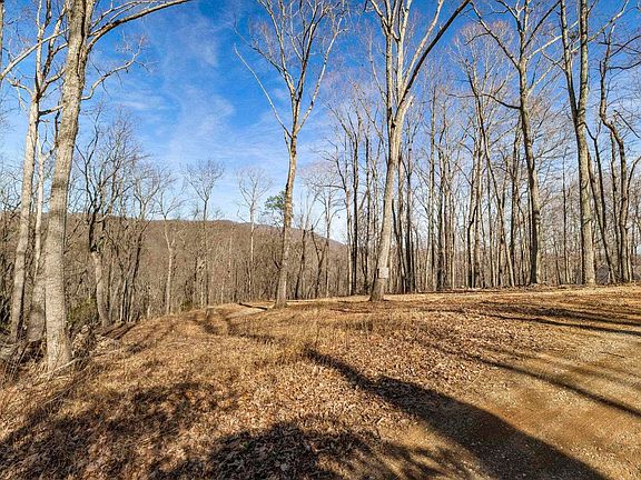 5th image of 314 Mountain Lake Ln