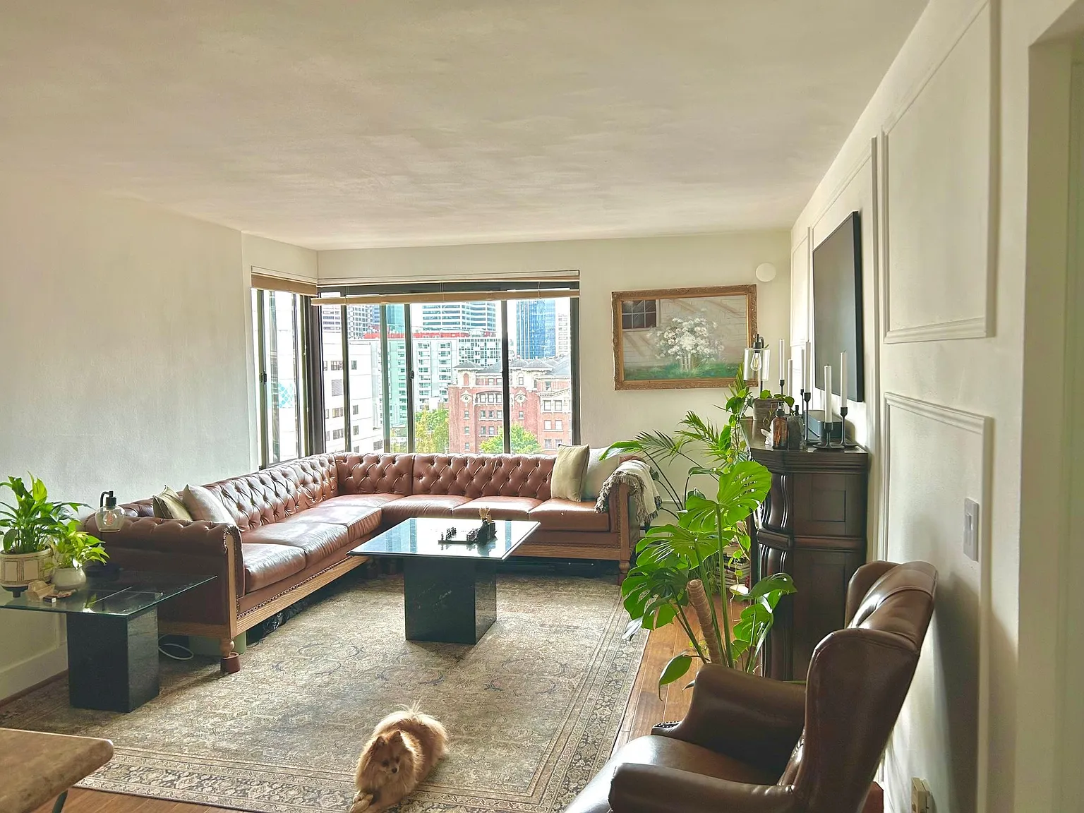 1 bed, 530 sqft, $1,900 — Photo 2