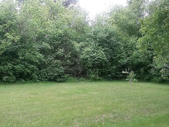 lot goes well into woods