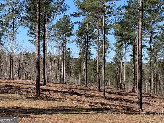 5th image of 0 Mount Sinai Rd