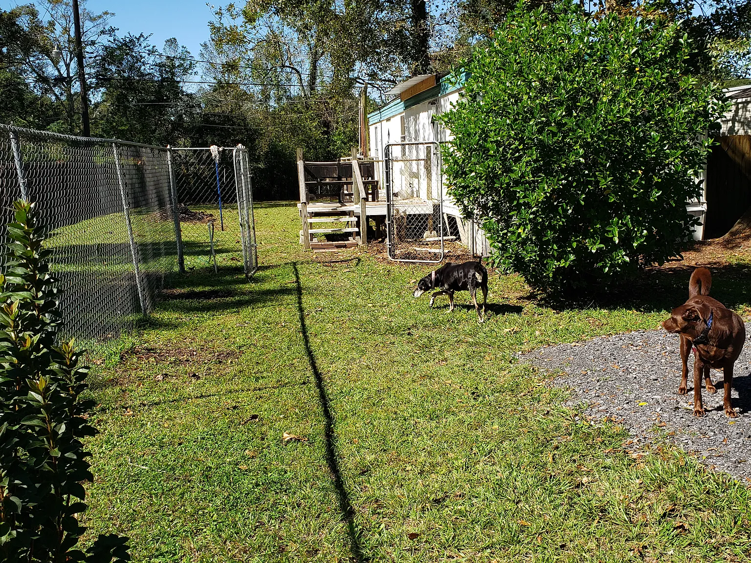 2 bed, 600 sqft, $900 — Photo 2