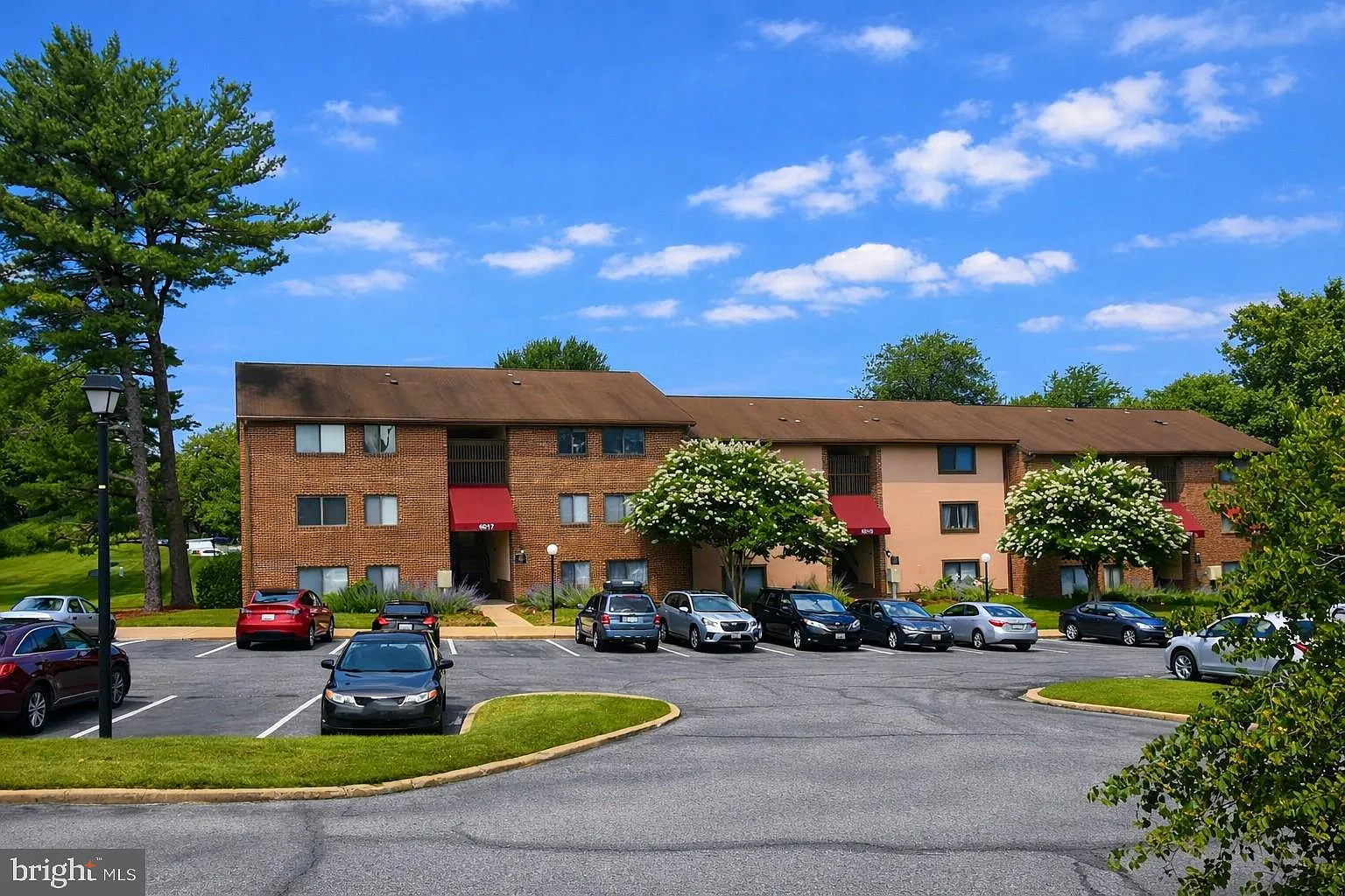 2 bed, 982 sqft, $1,650 — Photo 4