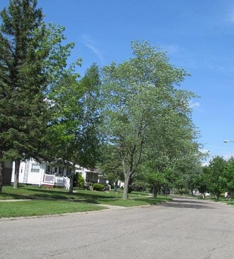 1st image of 5363 Don Shenk Dr
