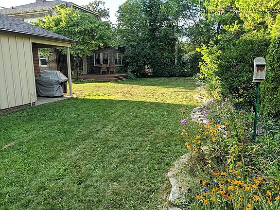 Back yard (2nd parcel)