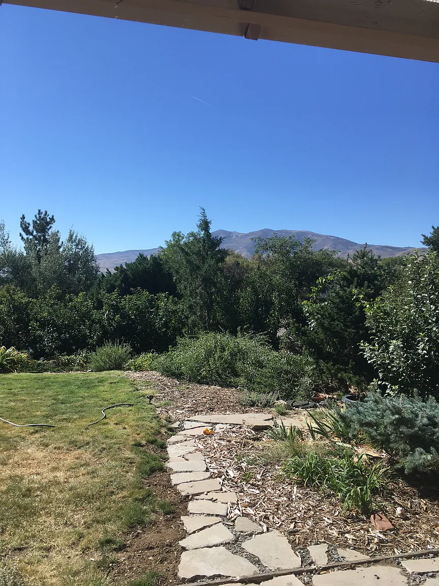 10405 Deadwood Dr photo 1