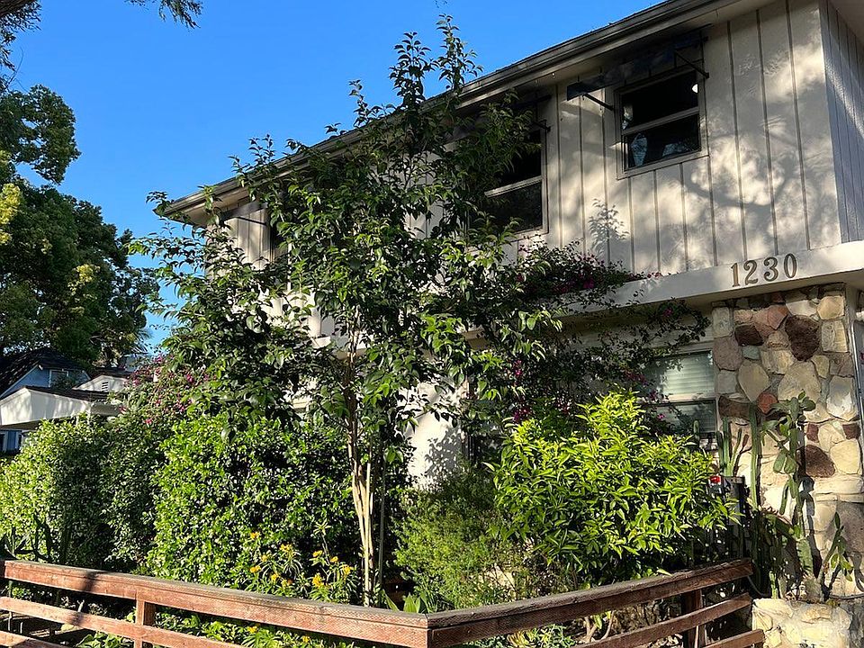 Top floor windows face on to mature garden