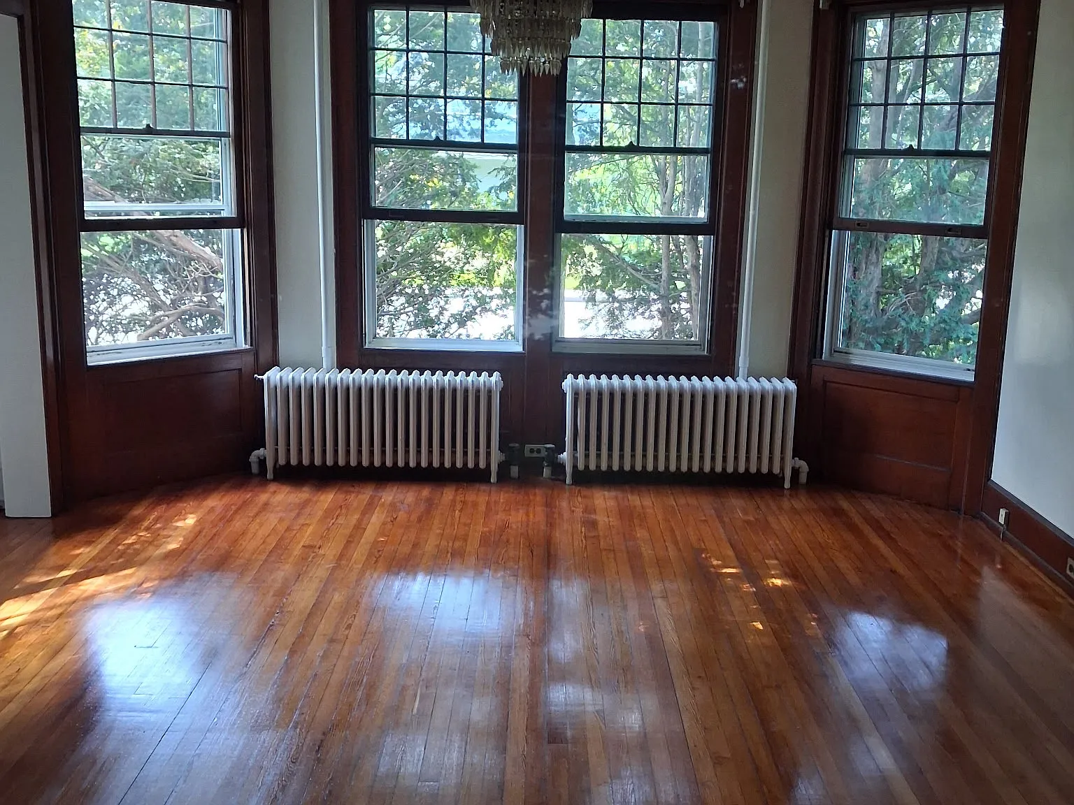 Studio, $1,095 — Photo 2
