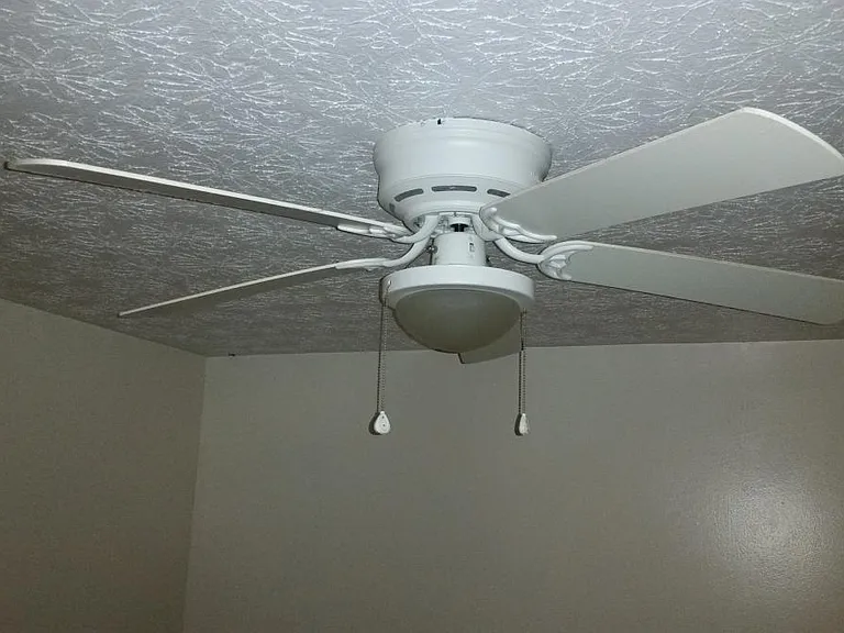 Ceiling fans