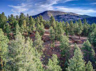 29542 High Rd, Pine, CO 80470