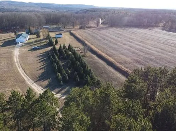 7313 W 12 1/2 Rd, Mesick, MI 49668