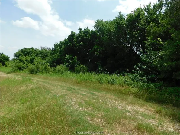 Yaupon St, Bryan, TX 77803