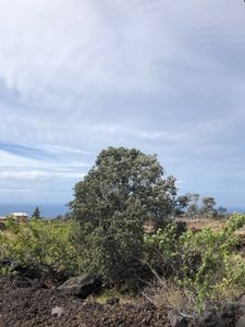 Kohala Blvd Lot 1, Captain Cook, HI, 96704