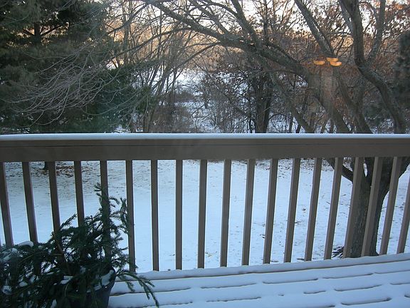 View from the deck