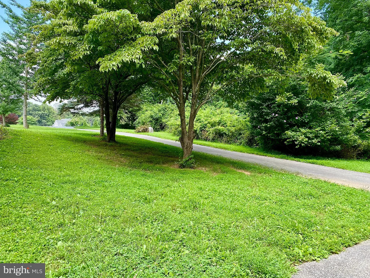 2 bed, 1.0 bath, 1000 sqft, $1,900 — Photo 4