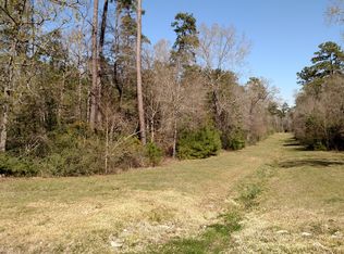 5107 Ossineke Ct, Spring, TX 77386