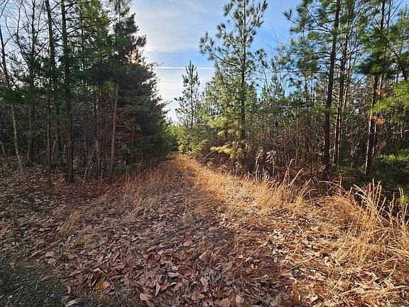3rd image of Pleasant Mountain Dr #5