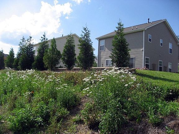 Privacy Trees and Wildflowers