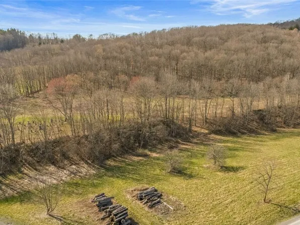 L9111 Lutheranville Rd, East Worcester, NY 12064