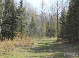 W Fox Lake Rd, Sagola, MI 49881