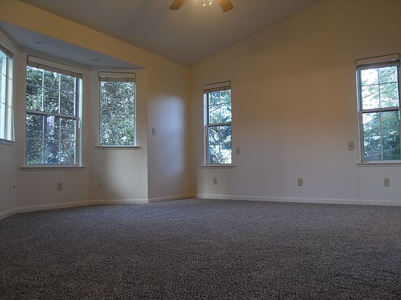 new carpet through out
