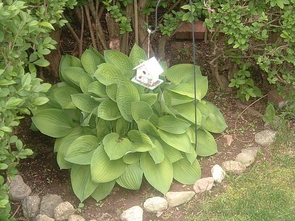 Enjoy the Spring, Summer & Fall Plantings