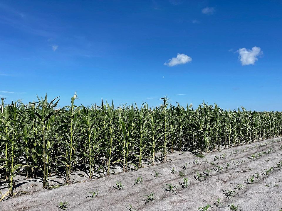 201 Angus Rd, Venus, FL 33960 MLS A11347715 Zillow