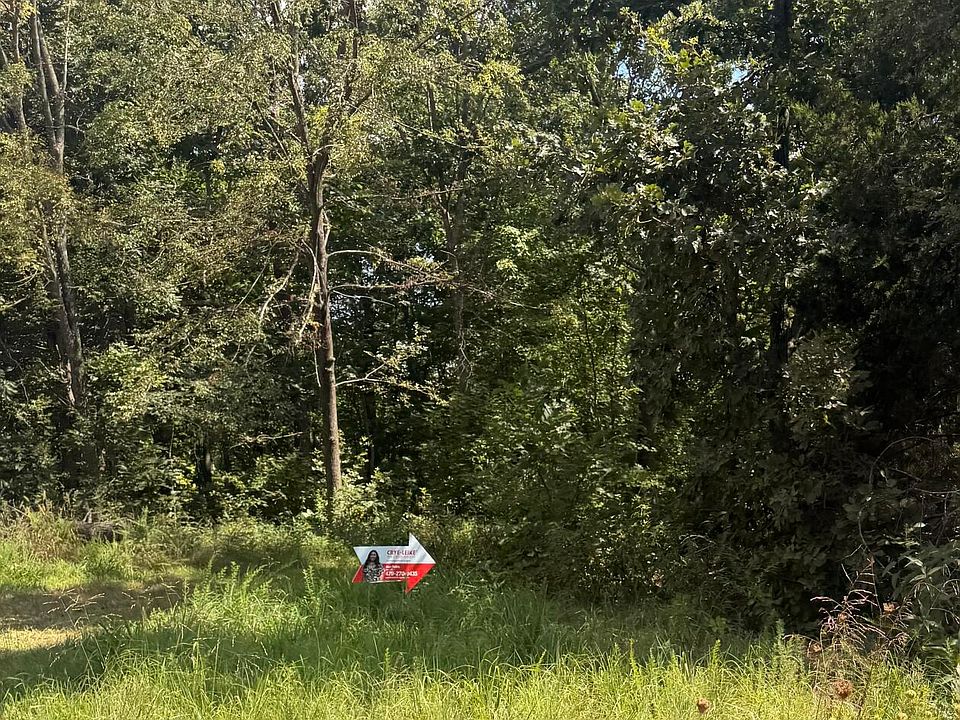 2nd image of 000 Buford Road