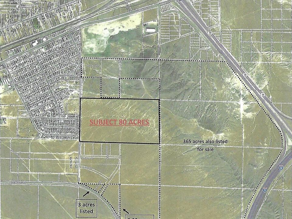 2nd image of Tortoise Rd