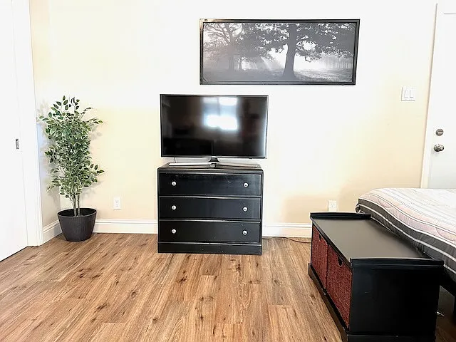 TV in the bedroom