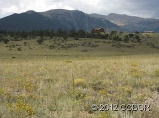 30561 Elk Mdws, Buena Vista, CO 81211