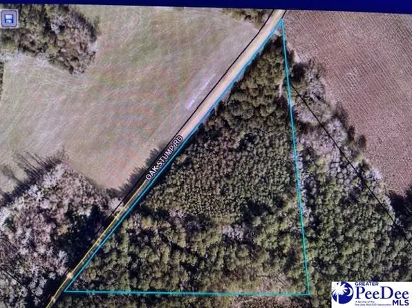 Oak Stump Rd, Timmonsville, SC 29161