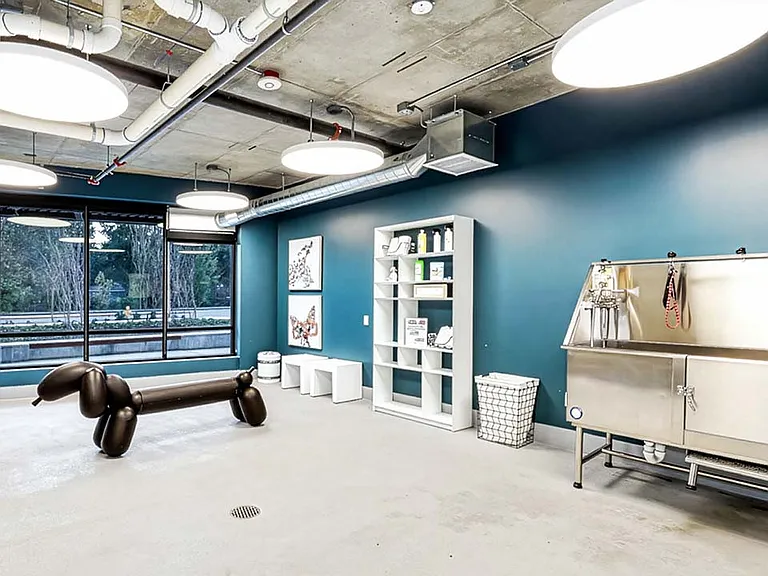 Griffis Shoreline pet spa.