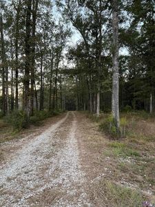 11315 Mill Creek Ln, Slaughter, LA, 70777