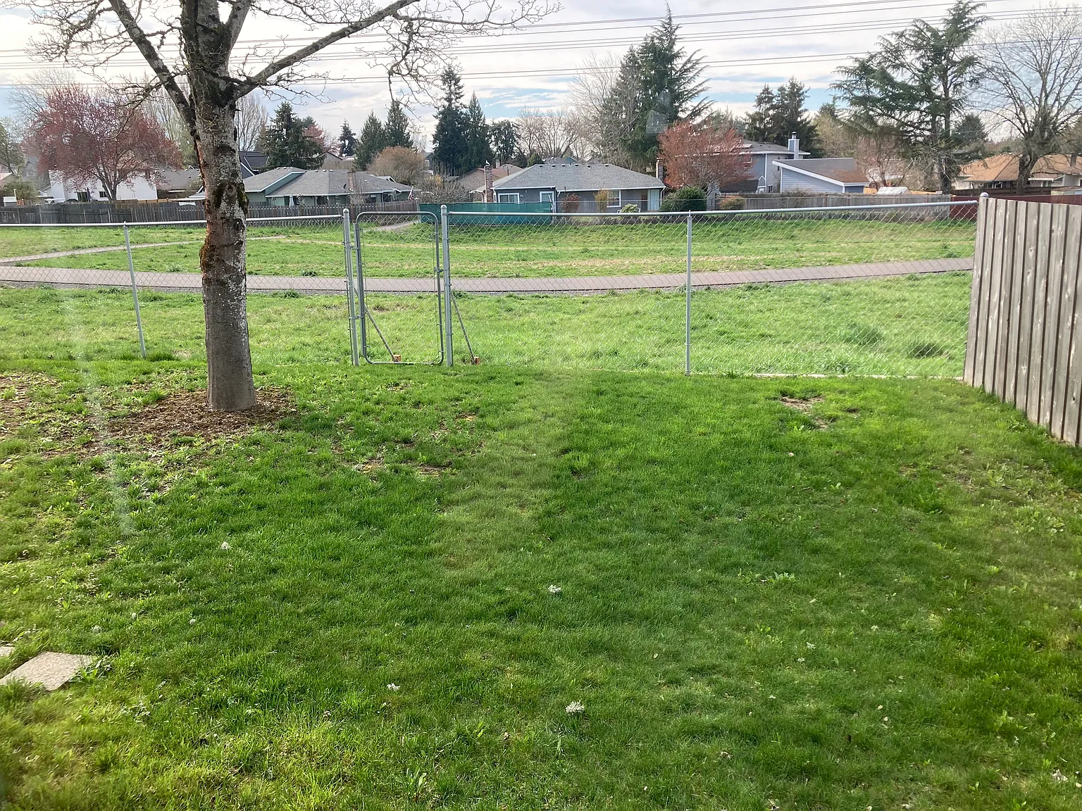 4 bed, 2.5 bath, 1775 sqft, $900 — Photo 4