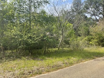 826 Social Springs Rd, Ringgold, LA, 71068