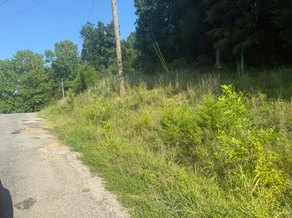 TRACT 3 Carroll Hollow Rd, Waynesboro, TN 38485