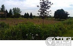 possible building site.jpg