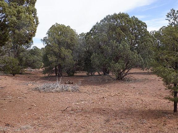 5th image of 6862 Arrowhead Hill Dr