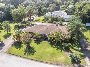 1008 Staggerbush Pl, New Smyrna Beach, FL 32168