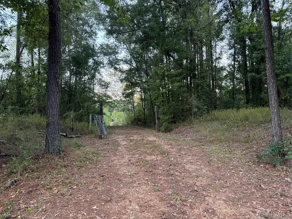 993-B County Rd #80, Minter, AL 36761