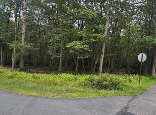 B173 Forest Lake Dr, Jim Thorpe, PA 18229