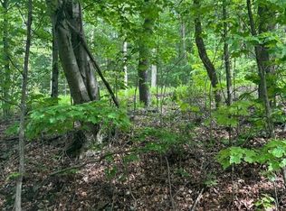 LOT 8 Mill Creek Rd, Newfoundland, PA 18445