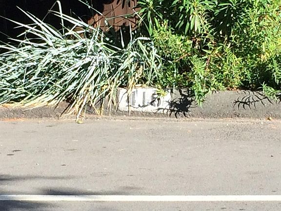 2nd image of 416 Marin Ave