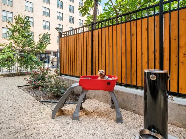 310 Clarkson Avenue image 20 of 26