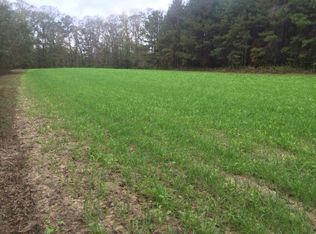 692 Wiggins Rd, Buena Vista, GA 31803