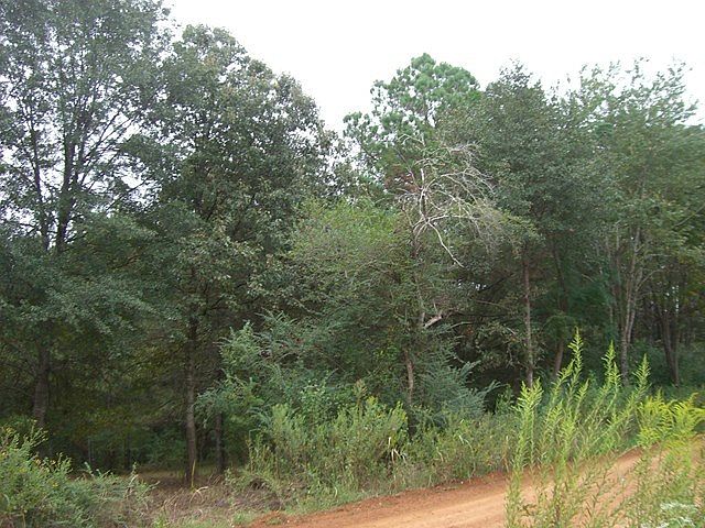 2nd image of Childs Rd