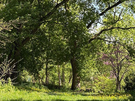 4th image of 247 Berry Rd